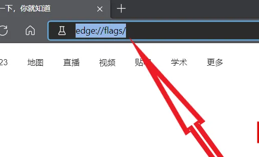 win10自带浏览器edge打开网页慢图文详细操作步骤