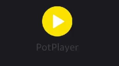 《PotPlayer》更改蓝光设置方法介绍