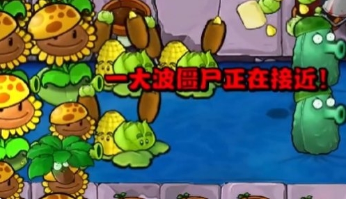 《植物大战僵尸杂交版》冒险模式第31关通关攻略