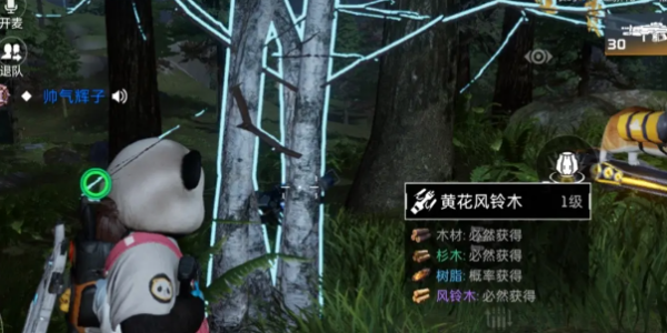 《星球重启》黄花风铃木在哪