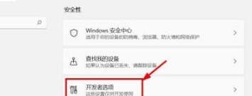 Win11怎么关闭开发者模式