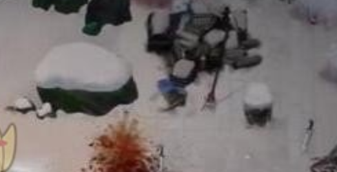 《暖雪》终业DLC蛇族历史研究报告二获取方法