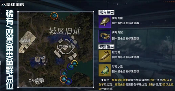 《星球重启》稀有鱼群点位介绍