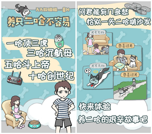 养只二哈不容易关卡攻略