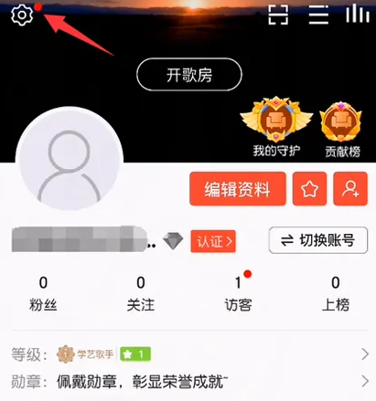 《vv音乐》如何开启隐身访问