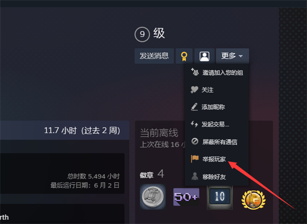 《steam》如何举报用户