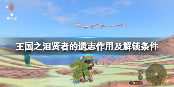 《塞尔达传说王国之泪》贤者技能是什么