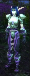 《魔兽世界怀旧服》灰谷NPC哨兵梅丽瑞亚霜影