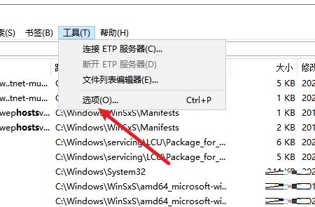 《Everything》交错行颜色设置步骤分享