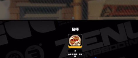 《绝区零》野火镇科琳娜纪念币怎么收集