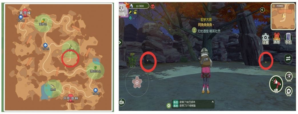 《小森生活》稀有虫点分布位置大全